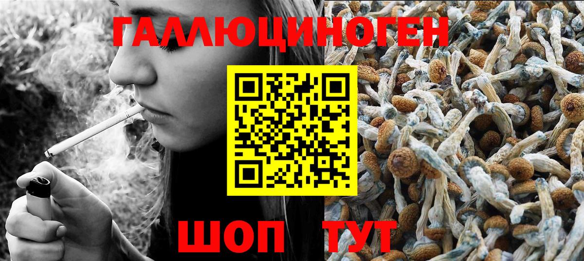 Псилоцибиновые грибы прущие грибы Старая Купавна